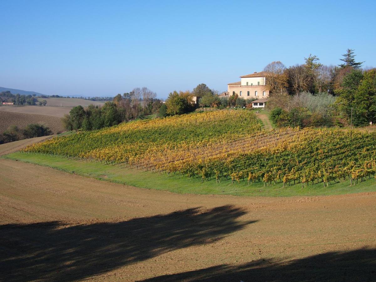 Agriturismo Poggiarellino - Montalcino Exterior foto