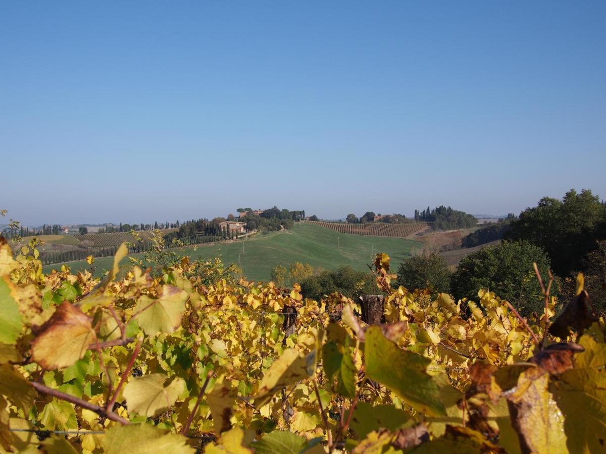 Agriturismo Poggiarellino - Montalcino Exterior foto