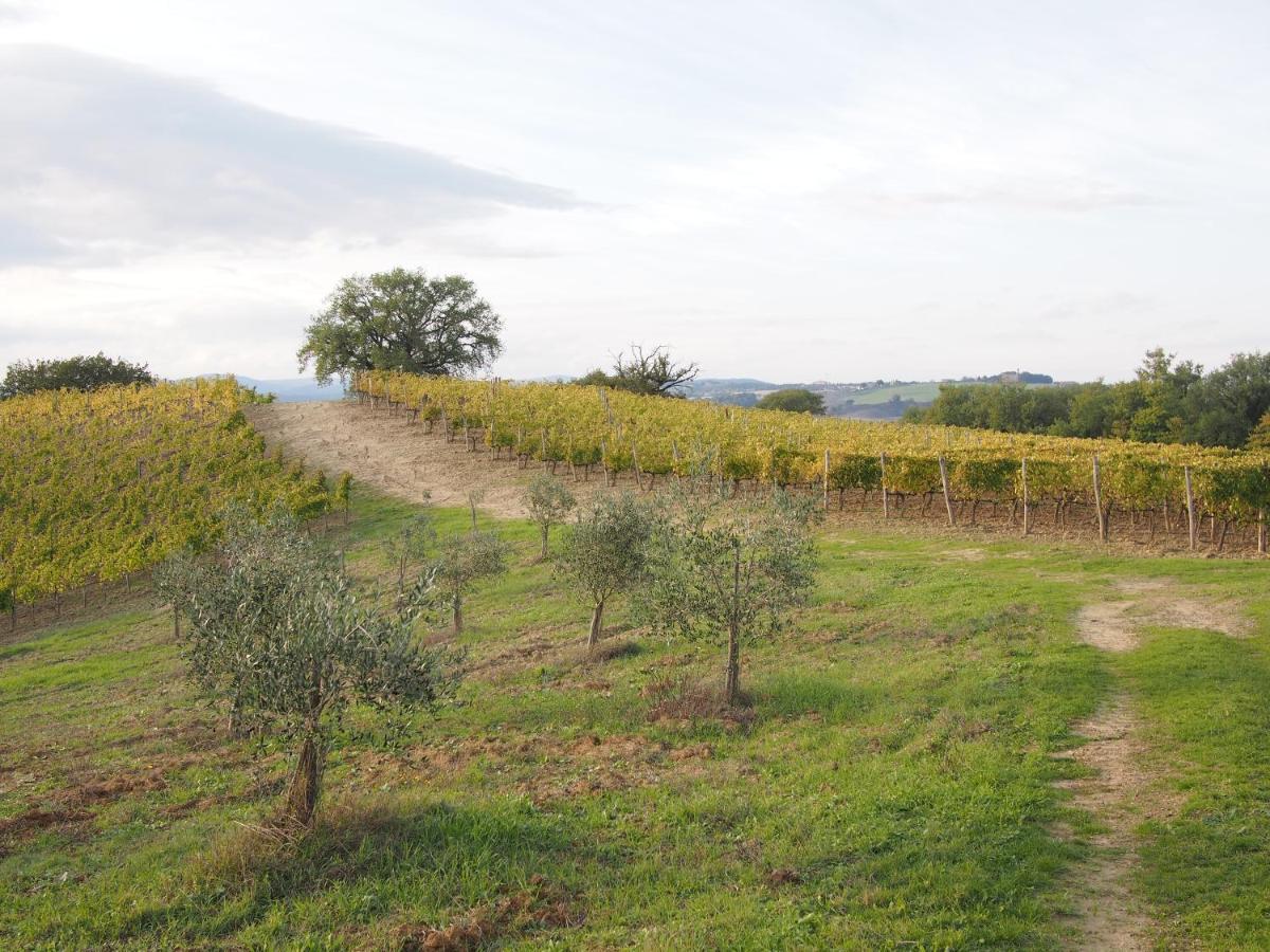 Agriturismo Poggiarellino - Montalcino Exterior foto